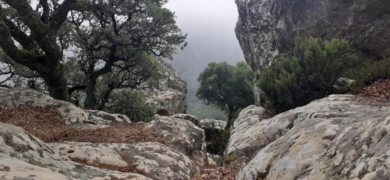 Casa Romantica Con Sauna Privada Eternal Rural Jimena De La Frontera Dış mekan fotoğraf